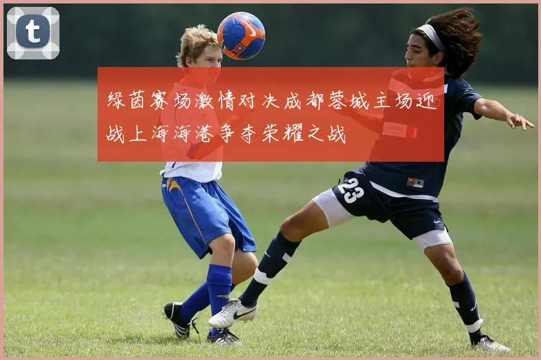 绿茵赛场激情对决成都蓉城主场迎战上海海港争夺荣耀之战