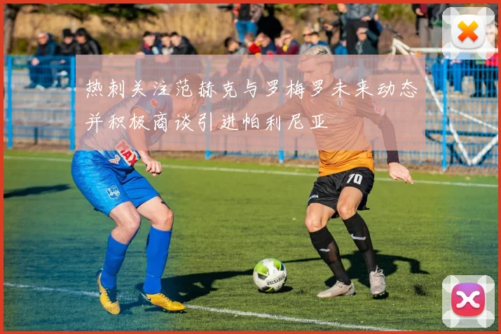 热刺关注范赫克与罗梅罗未来动态并积极商谈引进帕利尼亚