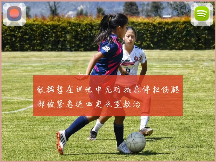 张稀哲在训练中无对抗急停扭伤腿部被紧急送回更衣室救治